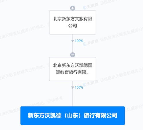新東方在山東成立沃凱德旅行公司，拓展社會經濟咨詢服務